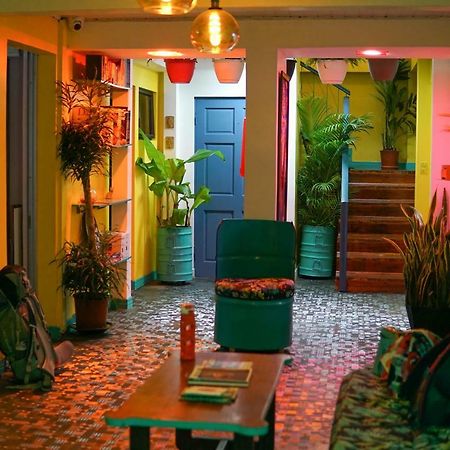 Nativus Art-Hostel San Jose (San Jose) Exterior foto