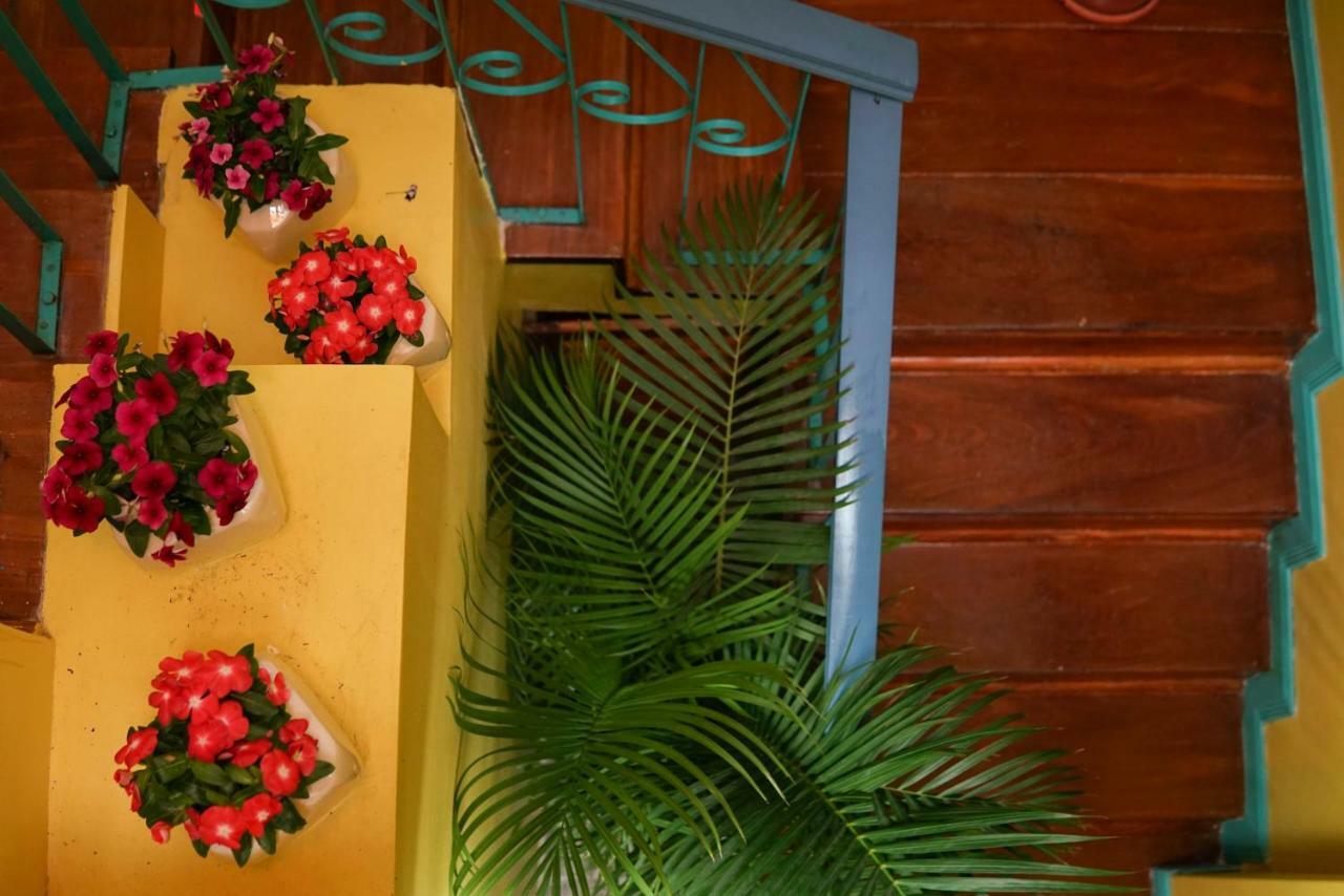 Nativus Art-Hostel San Jose (San Jose) Exterior foto
